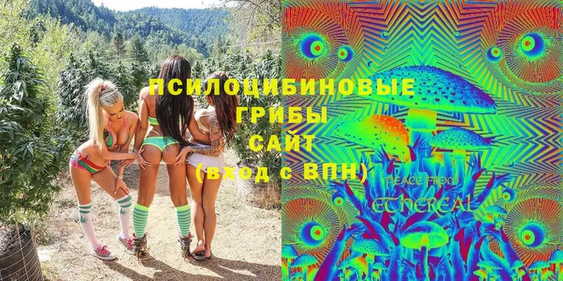 купить  сайты  Алатырь  Галлюциногенные грибы MAGIC MUSHROOMS 