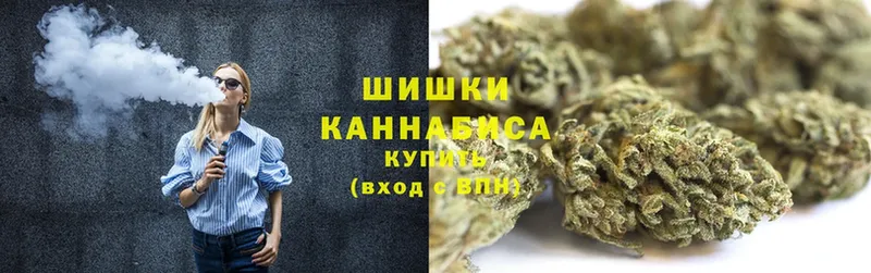 мориарти официальный сайт  Алатырь  Бошки марихуана Bruce Banner 